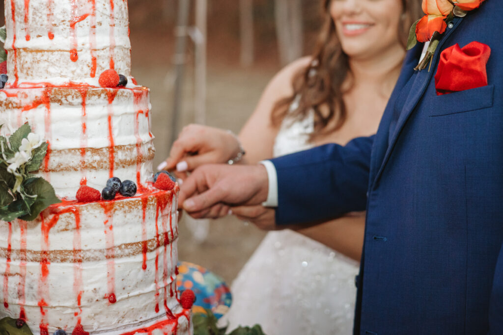 modern wedding cake kentucky photographer